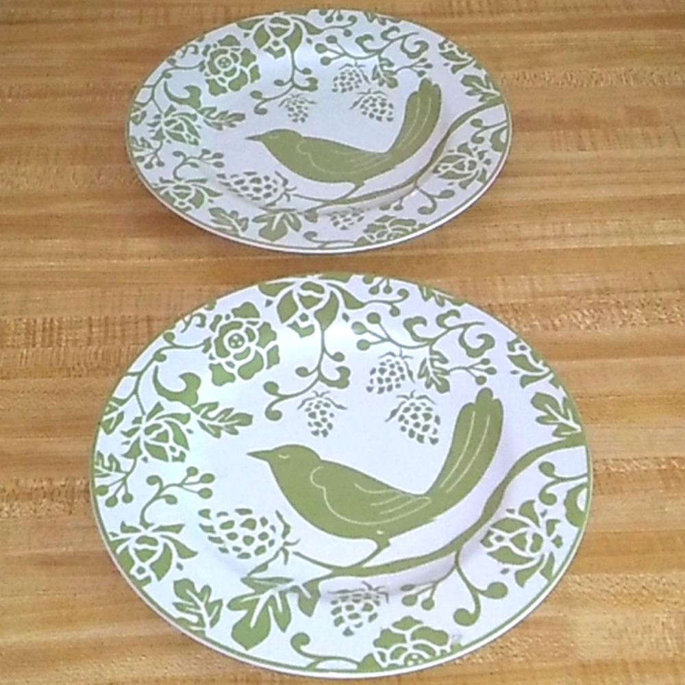 Pier 1 imports set of (2) 8 inch bird dishes